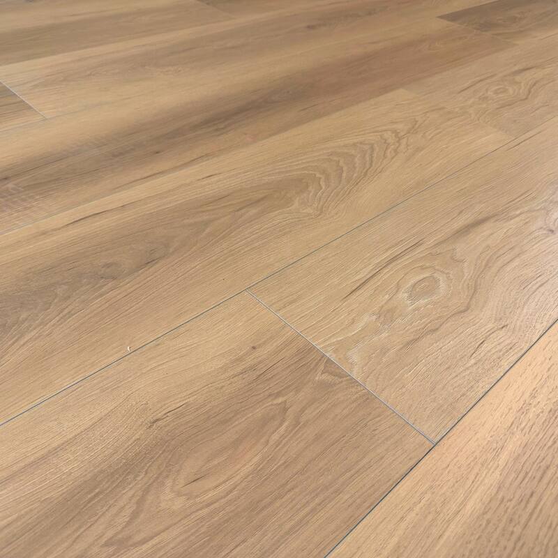 GOLDEN STATE FLOORS Tru-Shield Collection - 12mm T x 9.37" W Laminate flooring (19.27sqft/box)