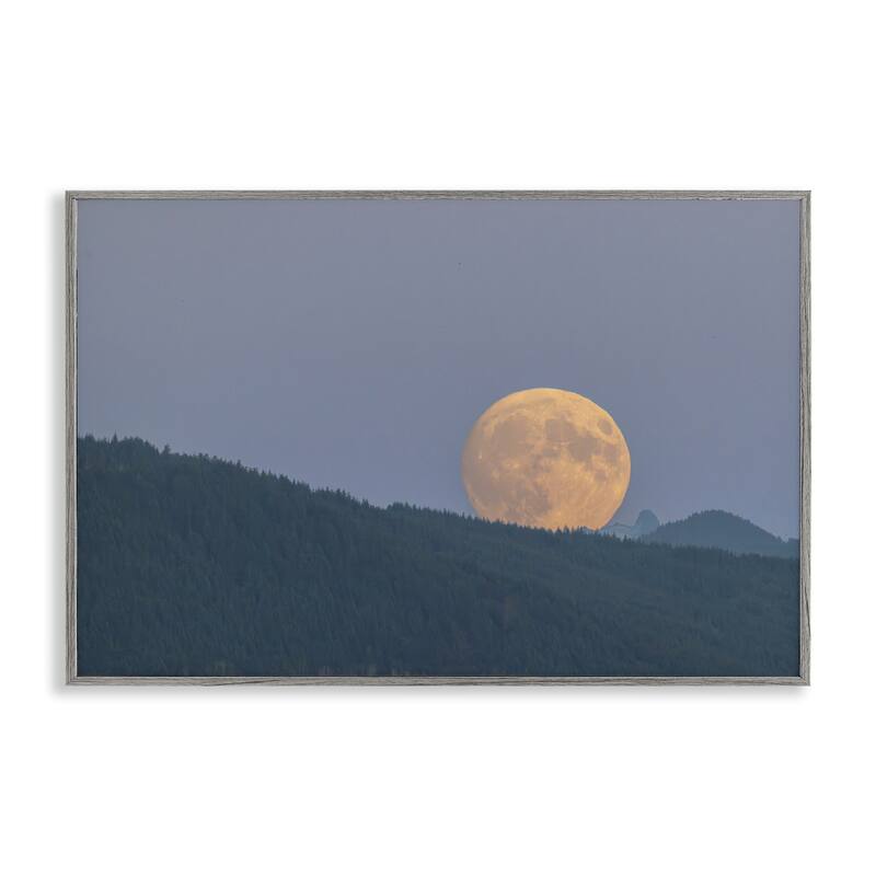 Stupell Majestic Moonrise Landscape Framed Giclee Art Design By Nancy Crowell - 24 x 16 - Grey