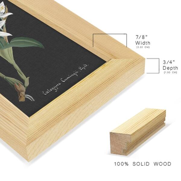 dimension image slide 7 of 11, Orchid on Slate III -Framed Print w/glass-Cherry Red