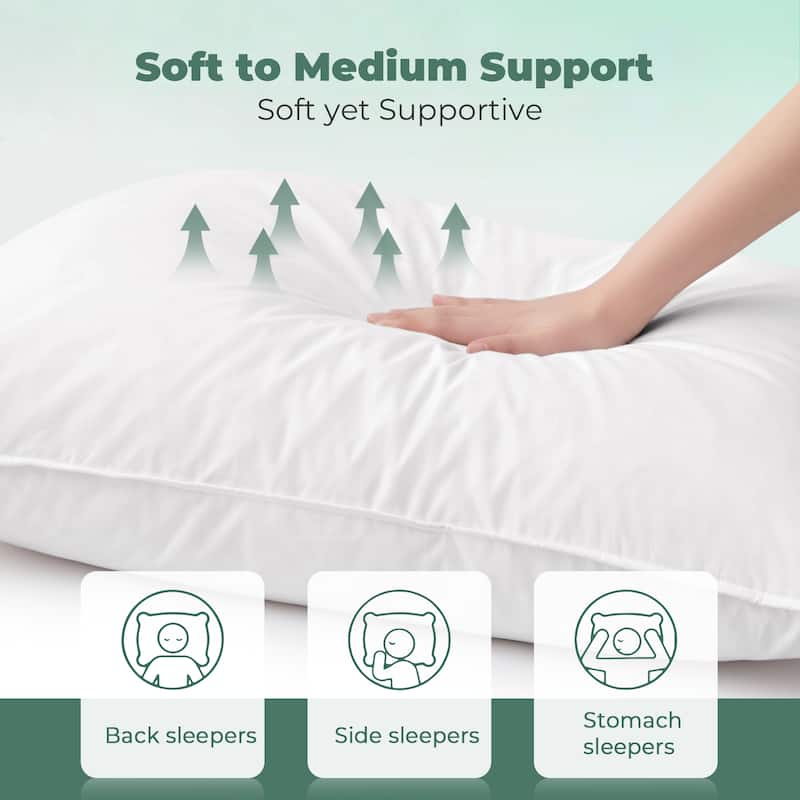 2 Pack 100% Cotton White Goose Feather Down Bed Pillows