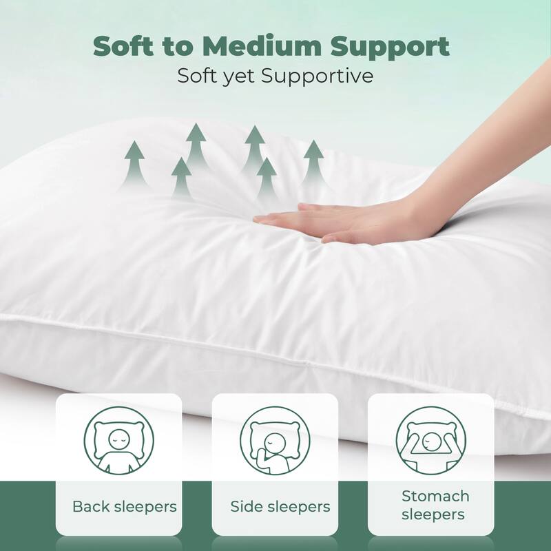 2 Pack Medium Goose Feather Down Bed Pillows with Soft Cotton Cover - White