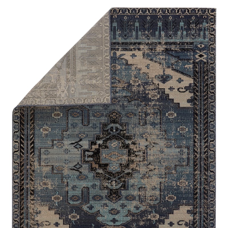 Cicero Indoor and Outdoor Medallion Area Rug