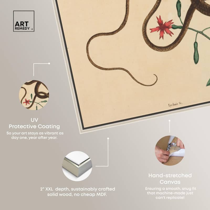 The Coach Whip Snake 1743 Canvas by Art Remedy