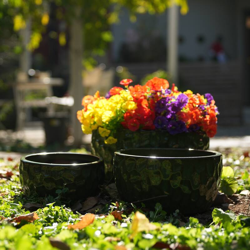 Ceramic Pots in Cobalt Blue Violets and Herbs with Breathable Design