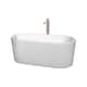 Option White, Brushed Nickel Trim & Faucet