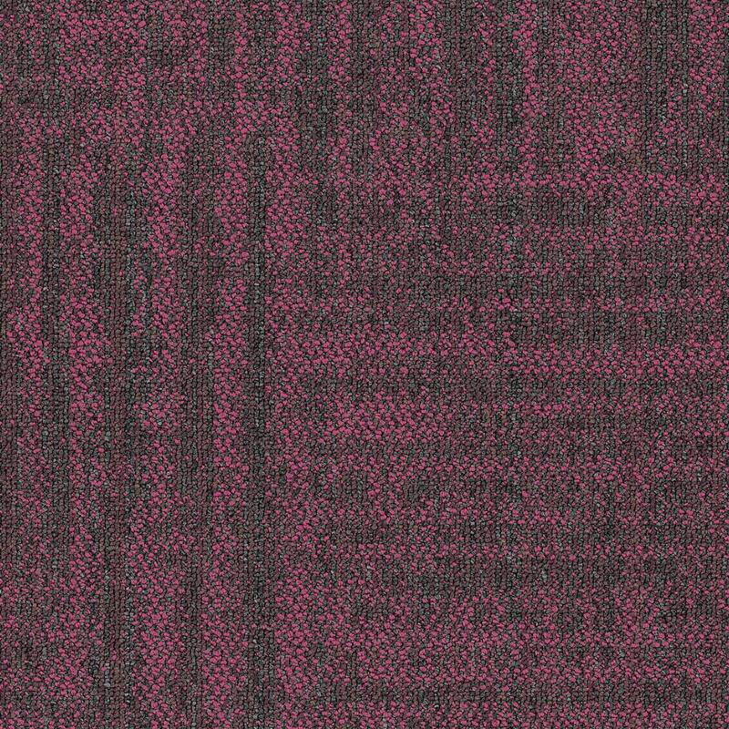 Shaw Philadelphia Commercial Raw Beauty 18" x 36" Glue Down Carpet - Hotshot