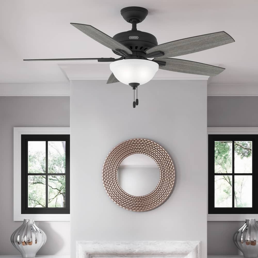 Hunter 52" Newsome Ceiling Fan with LED Bowl Light Kit and Pull Chain