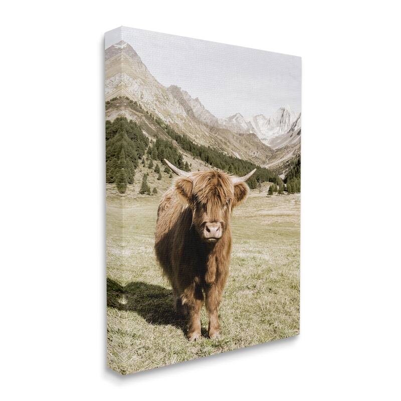 Stupell Countryside Highland Cattle Distant Mountain Longhorn Photograph Canvas Wall Art - Green