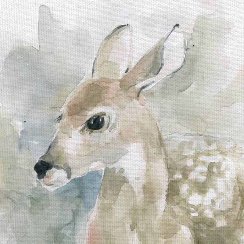 Watercolor Fawn, Fox, Rabbit, Raccoon by Paul Brent Canvas Art Prints