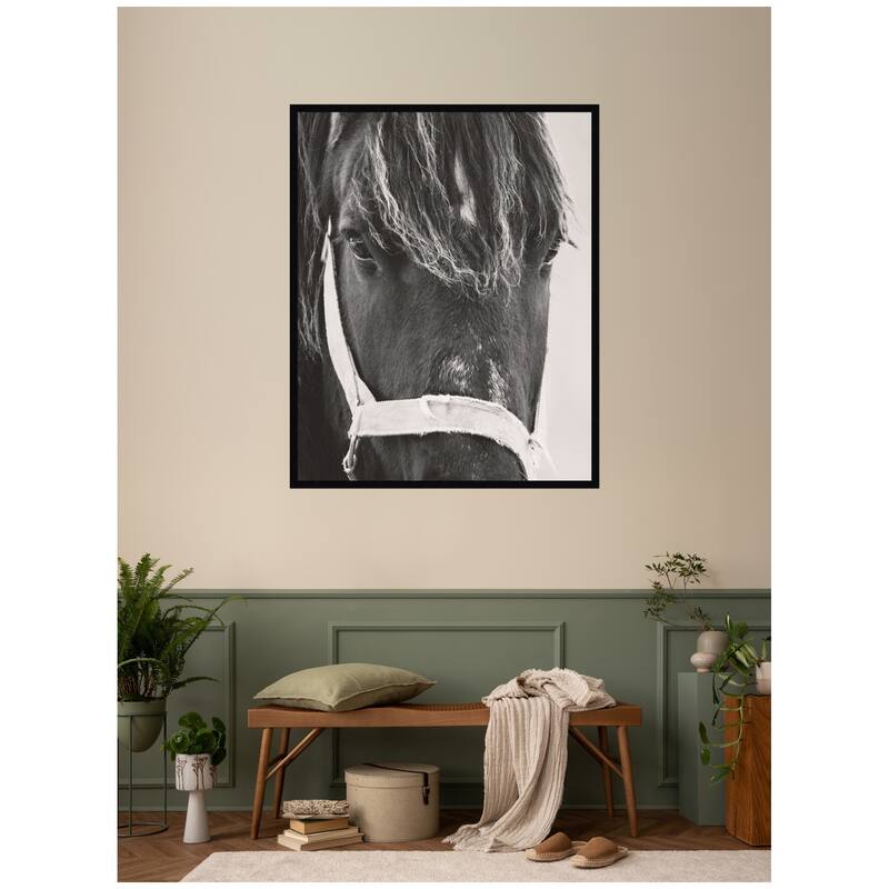 Kate and Laurel Black Horse by Emiko and Mark Franzen F2 Images Framed Wall Art Print