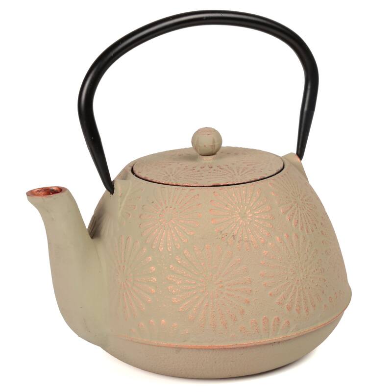 Creative Home Kyusu Grey Cast Iron 40 oz. Tea Pot