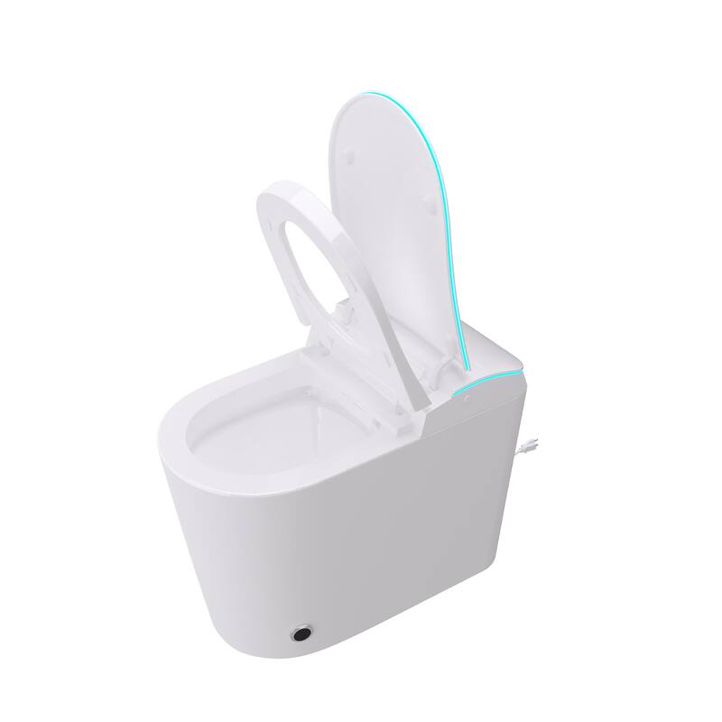 Smart Toilet with Bidet, Heated Seat, Auto Flush, Warm Air Dryer, Night Light, One-Piece Intelligent Toilet 220 lbs Capacit