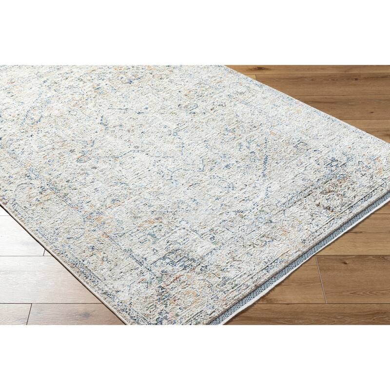 Livabliss Rivaldo Traditional Distressed Medallion Area Rug