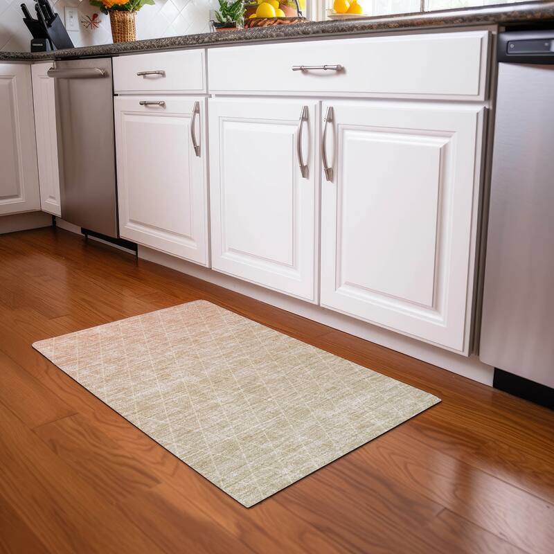 Machine Washable Indoor/ Outdoor Ombre Trellis Chantille Rug - Salmon - 1'8" x 2'6"