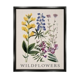 Stupell Wildflower Species Study Framed Floater Canvas Wall Art Design ...