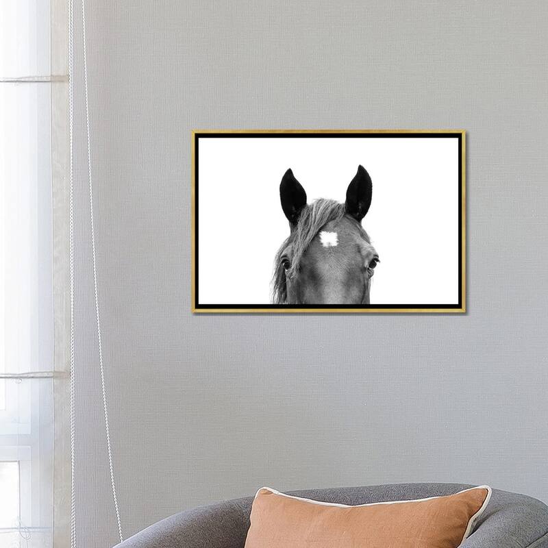 iCanvas "Peeking Horse In Black & White" by Sisi & Seb Framed Canvas Print