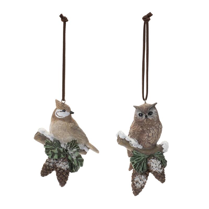 Snowy Cardinal Bird and Owl Ornament (Set of 12) - N/A