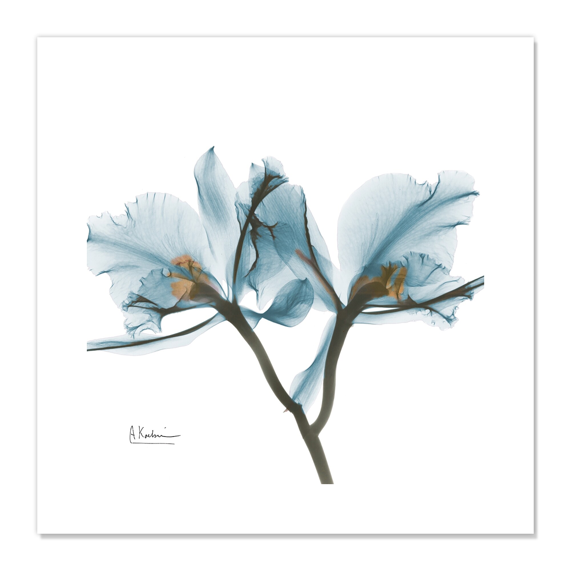 Orchid Blue - Bed Bath & Beyond - 29818699