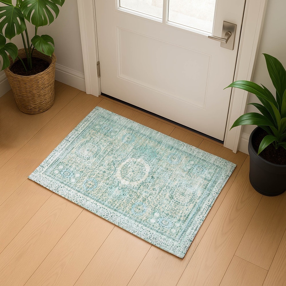 Premium Washable Super Soft Vintage Traditional Mayfield Rug