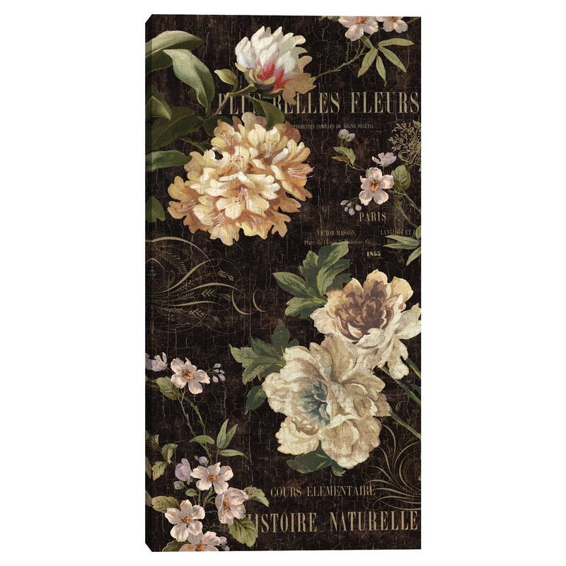 Fleurs Antique II Canvas Art Print