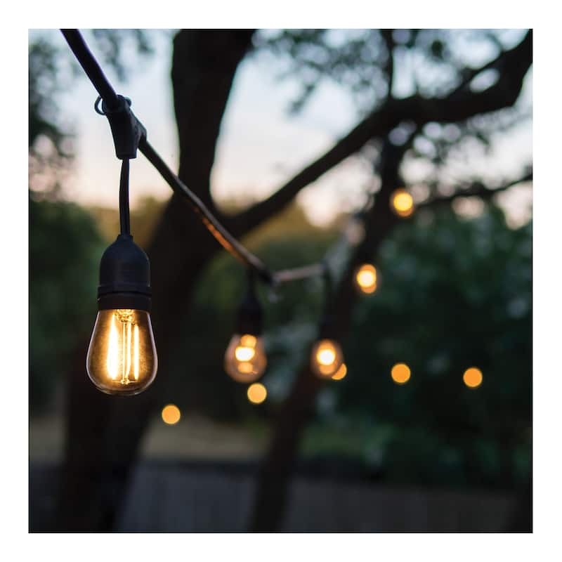 60 Foot LED String Light 24-S14 Lamps Medium Base 2200K CCT Black