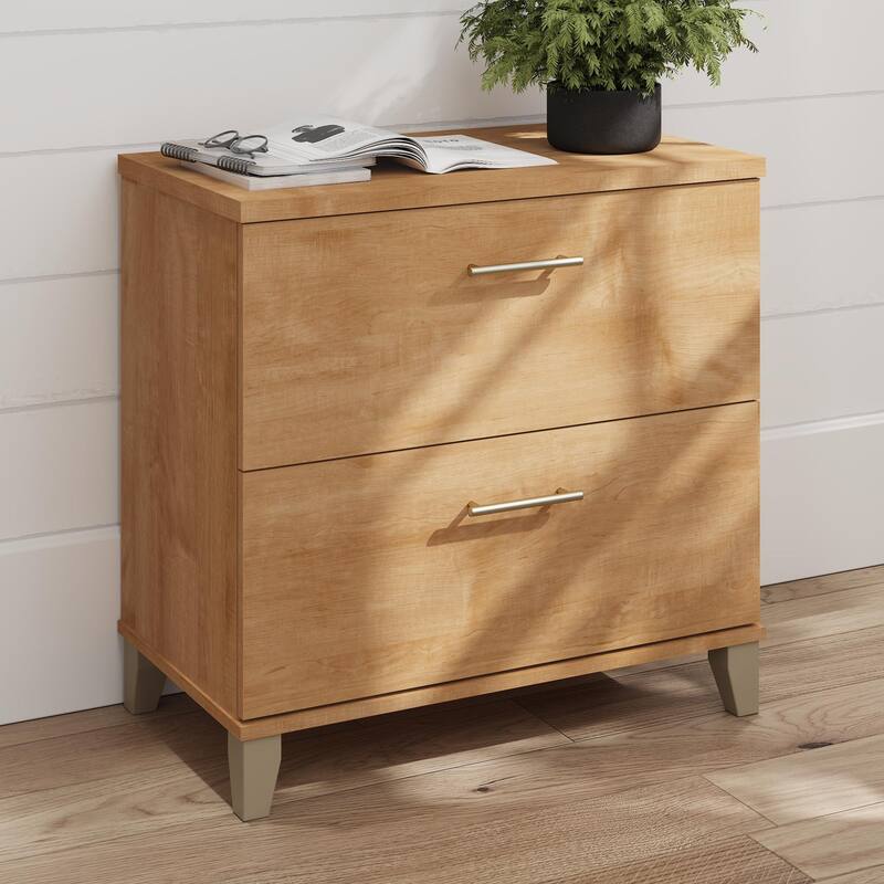 Bush Furniture Somerset 2 Drawer Lateral File Cabinet with Storage