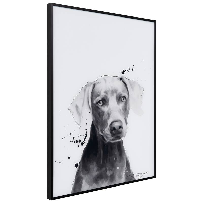 "Weimaraner" Black and White Pet Paintings on Printed Glass Encased with a Black Anodized Frame