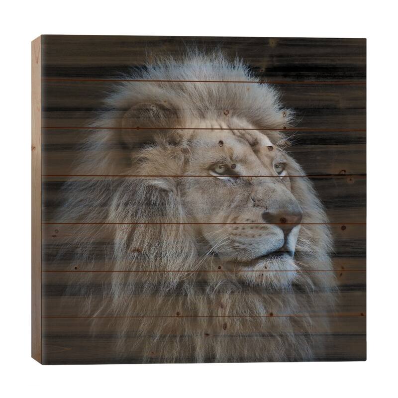 Proud Lion Print On Wood by Louise Wolbers - Multi-Color - 26x26x1.5