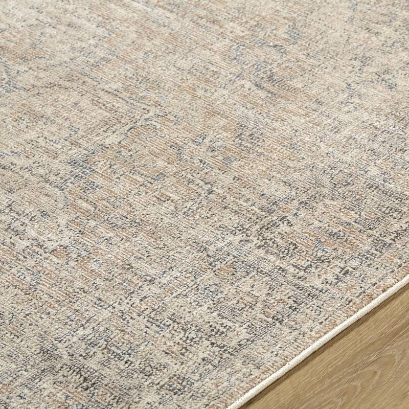 Galey Alix x Livabliss Maria Elena III Vintage Medallion Area Rug
