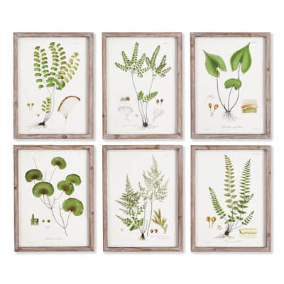 Shade Garden Study, Set Of 6