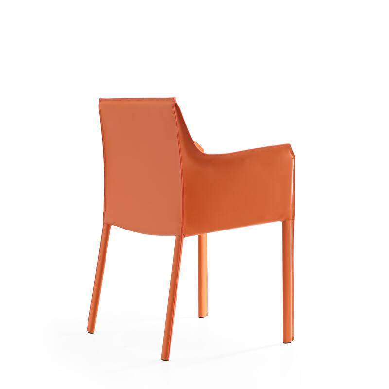 Ceets Chic and Modern Paris Dining Arm Chair