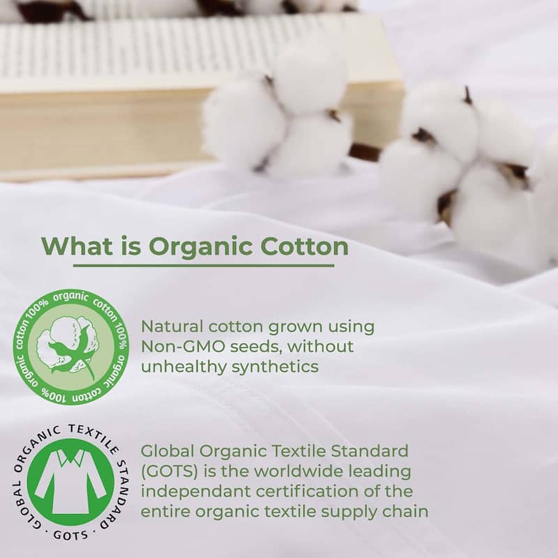 Superior Gina Organic Cotton Percale Pillowcases, Set of 2