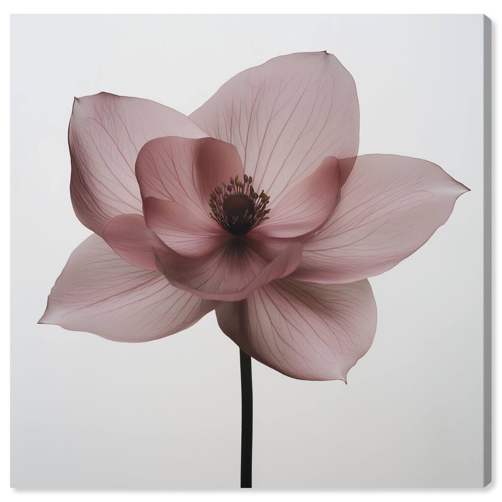 Silken Sepals Canvas by Art Remedy, Gallery Wrapped