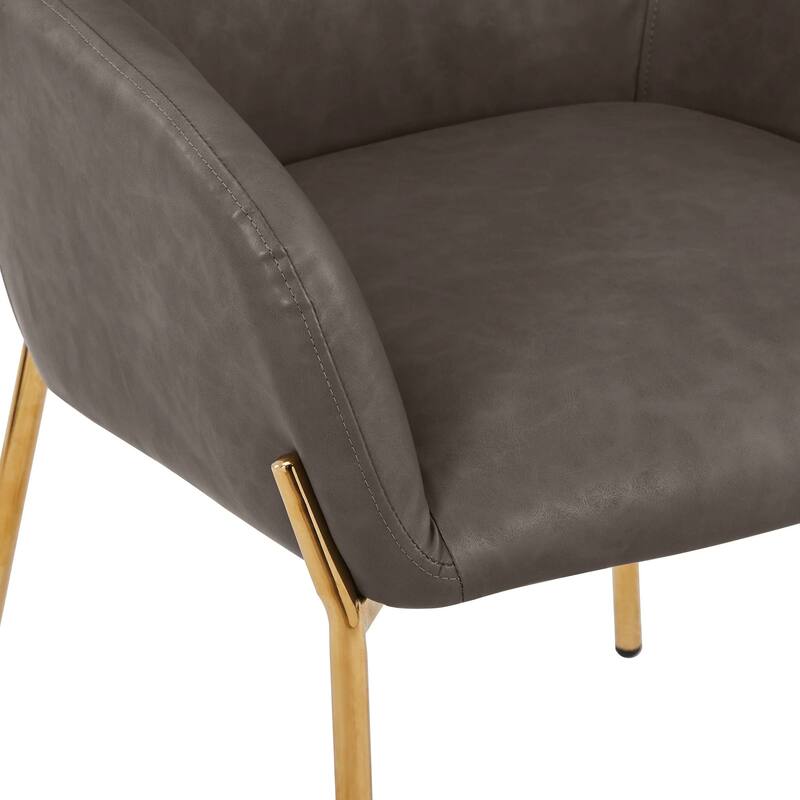 Zaire Upholstered Dining Chair in Velvet/Leather/Boucle with Gold Chrome Iron Set of 2