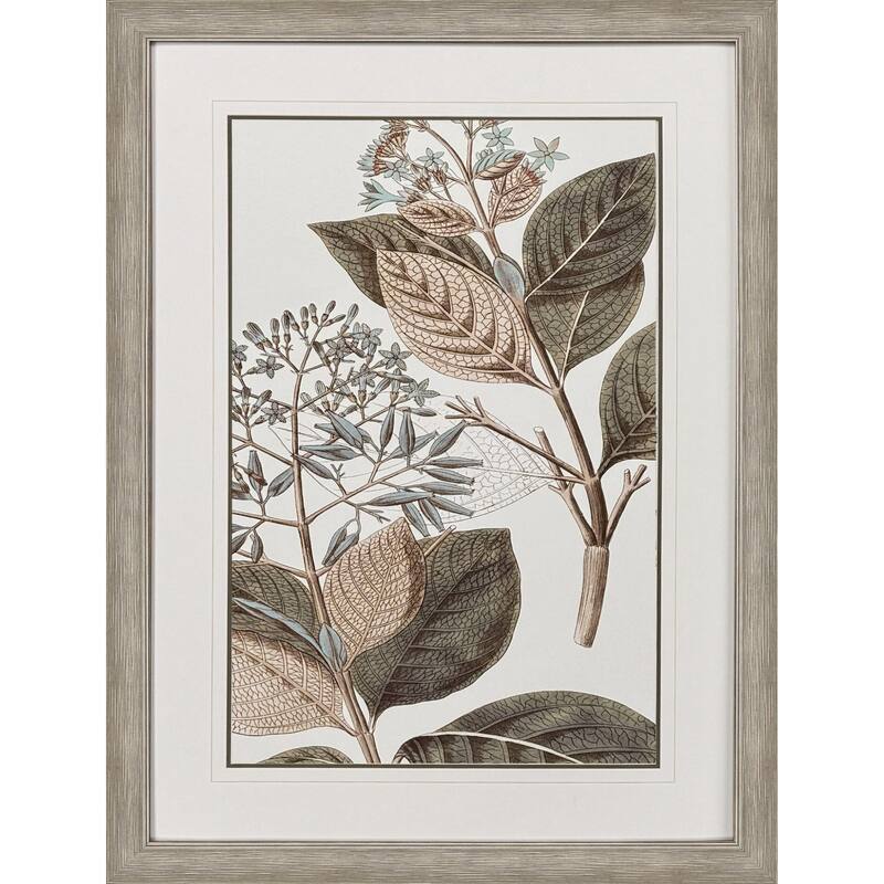 Paragon Flowering Botanical III Framed Art