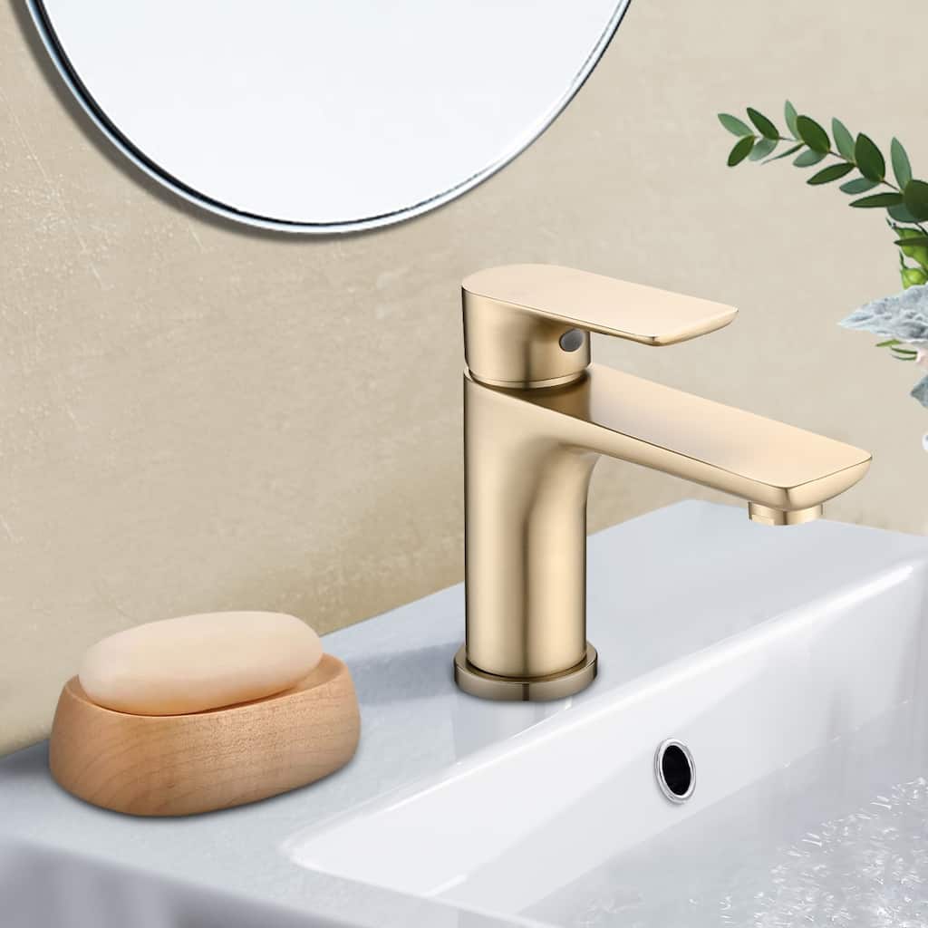 Topcraft Single Handle Stainless Steel Bathroom Sink Faucet