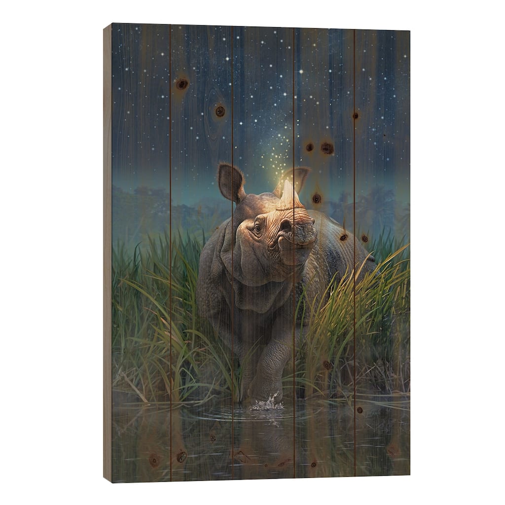 Rhinocerosunicornis Print On Wood by Jerry Lofaro - Multi-Color