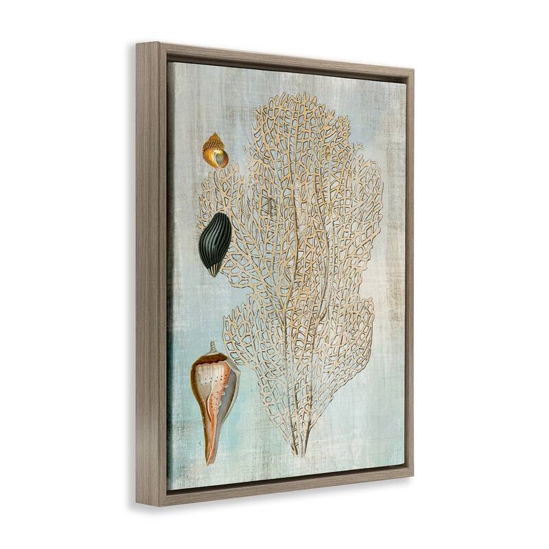 Stupell Detailed Coral & Seashells Framed Floater Canvas Wall Art Design By Susan Arnot