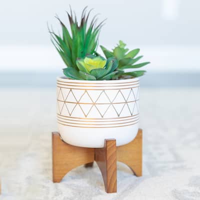 5-in. White/Goldtone Geometric Ceramic/Wood Planter