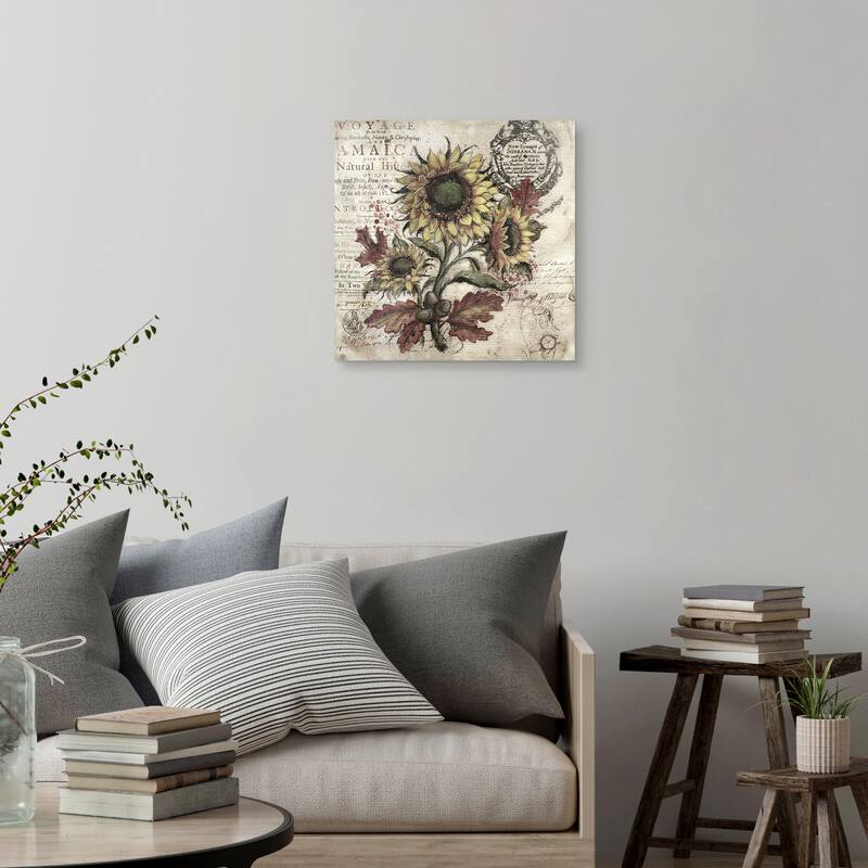 Olde Sunflower Ivory by Geoff Allen Canvas Art Print