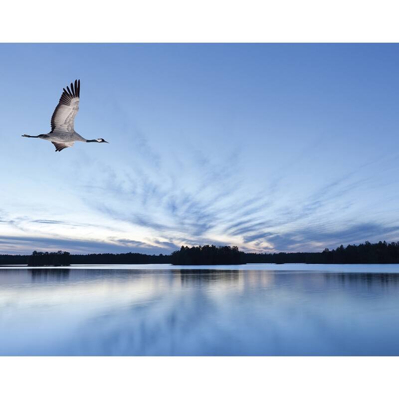 Global Fusion Flying Crane 6-Panel Wall Mural - 8.2-feet high x 10.4-feet wide - Blue