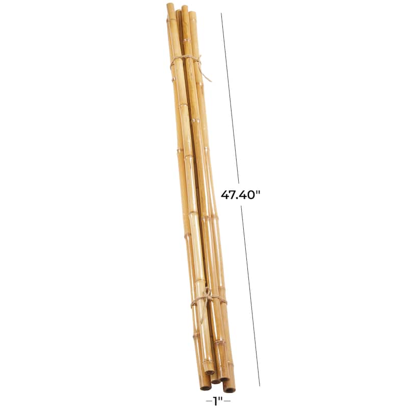 Dried Hogla Babala Bamboo Natural Foliage Collection - Multiple Colors