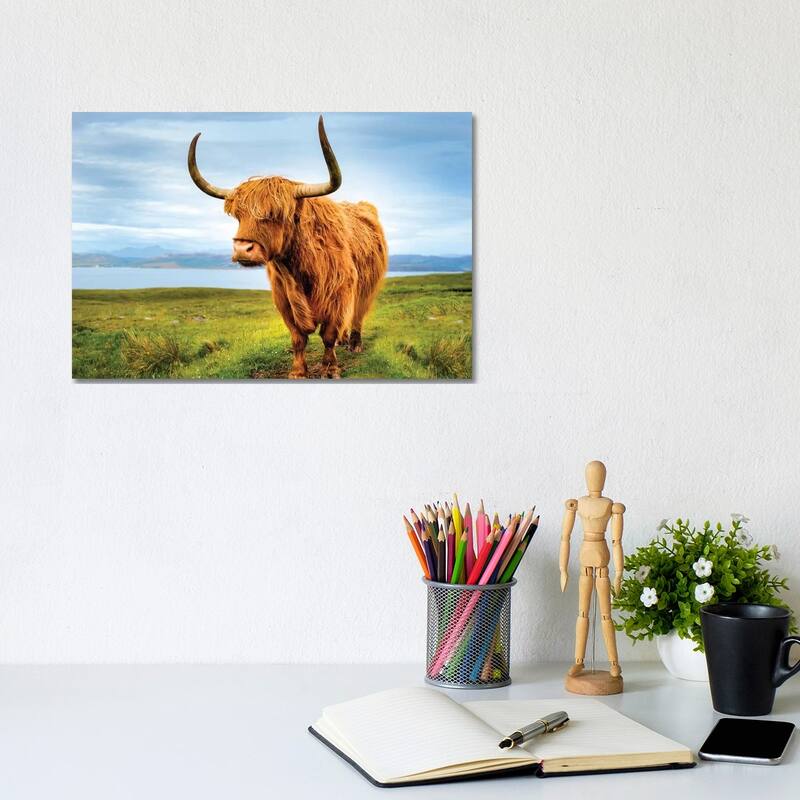 iCanvas "Highland Cow IV" by Susanne Kremer Canvas Print - 8x12x0.75