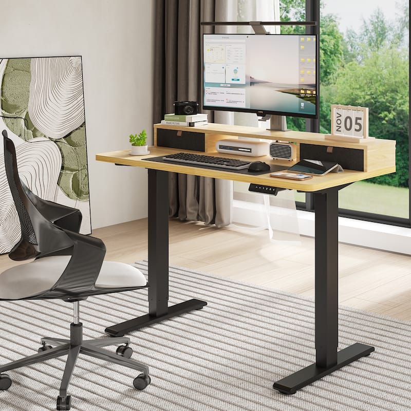 FlexiSpot 48"x24"/55"x24" Ergonomic Height Adjustable Standing Desk with 2 Drawers, Monitor Stand Computer Desk