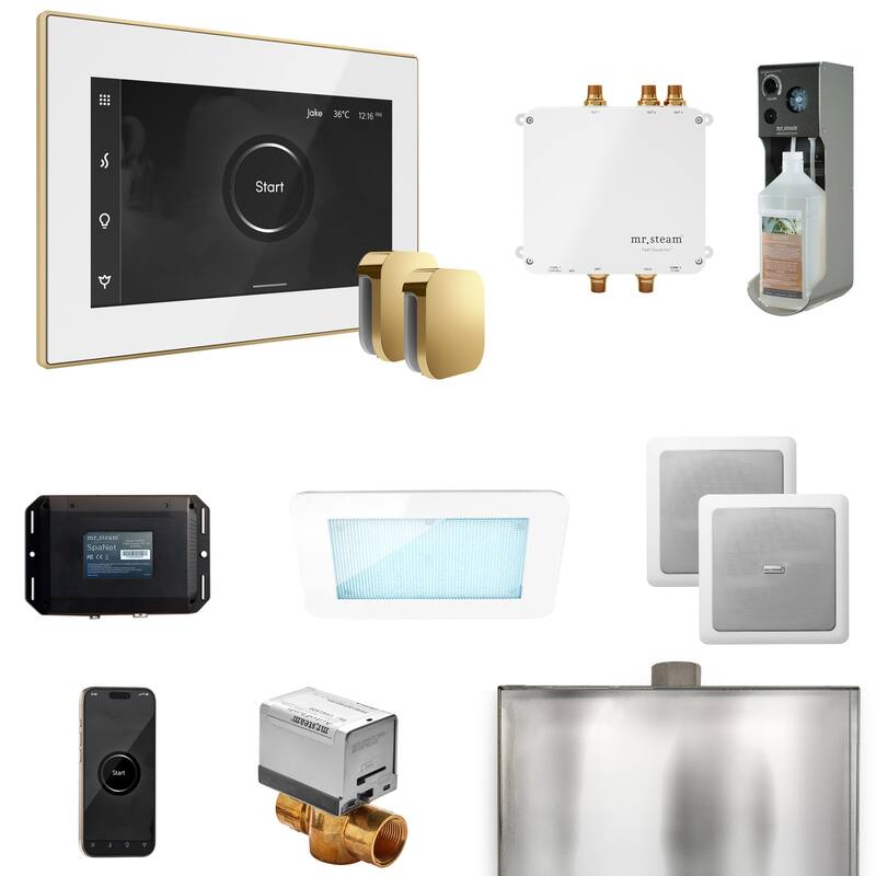Mr Steam BLS1-X Bliss Max Package Steam Shower Control Package with - White / Polished Brass