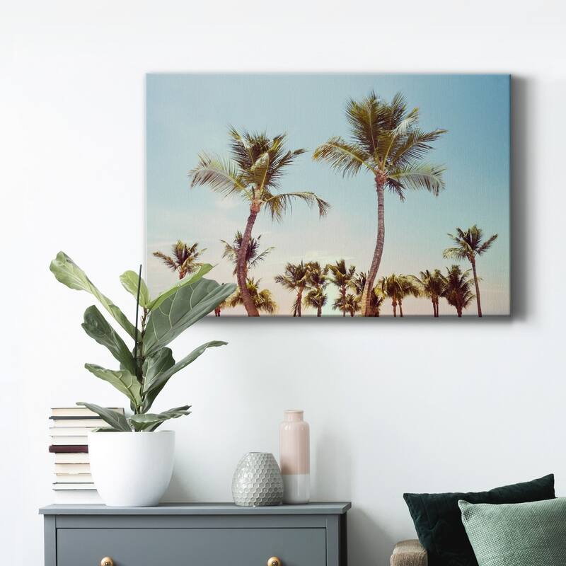 Aruba Palm Premium Gallery Wrapped Canvas - Ready to Hang