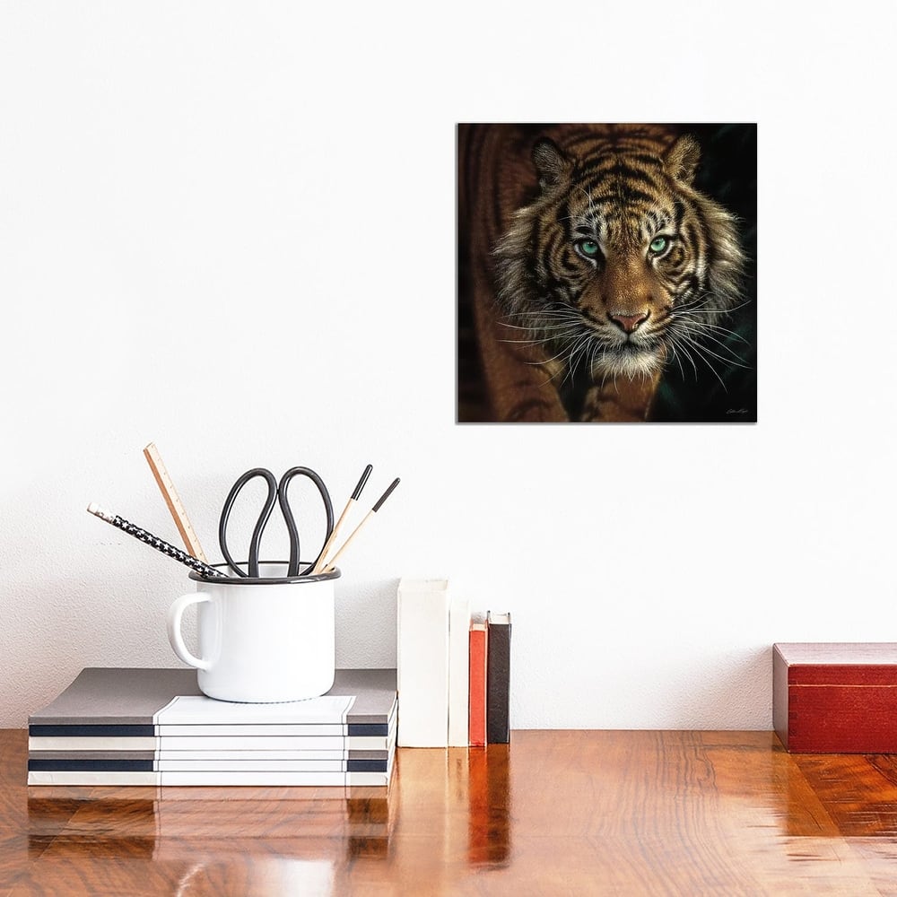 iCanvas "Eye Of The Tiger, Square" by Collin Bogle Canvas Print