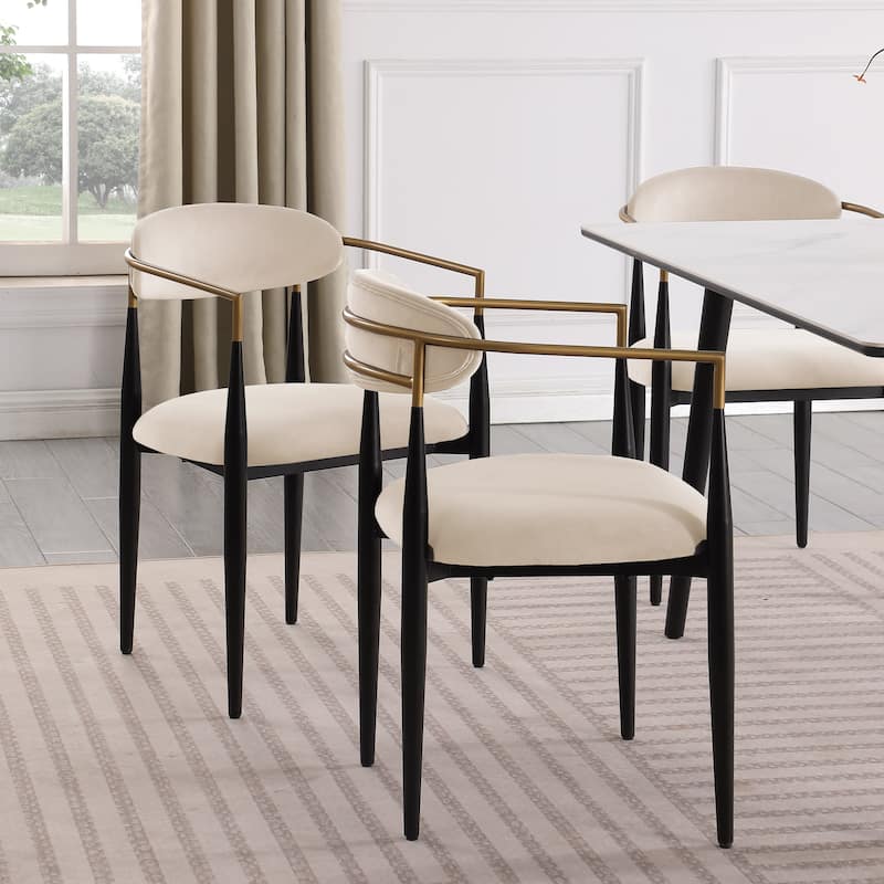 Modern Contemporary 2pcs Side Chairs
