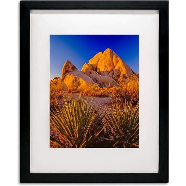 20x24 Lovel Picture Frame Bed Bath & Beyond 37108301