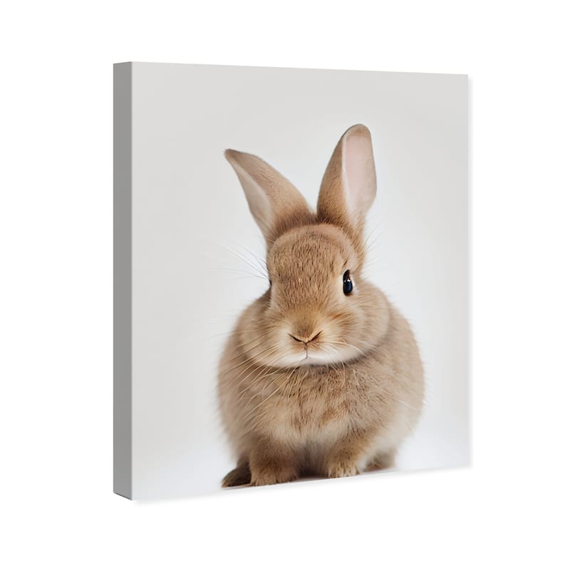 Wynwood Studio Canvas Animals Baby Animal Bunny Brown and Tan Modern & Contemporary Wall Art Canvas Print - Brown, White